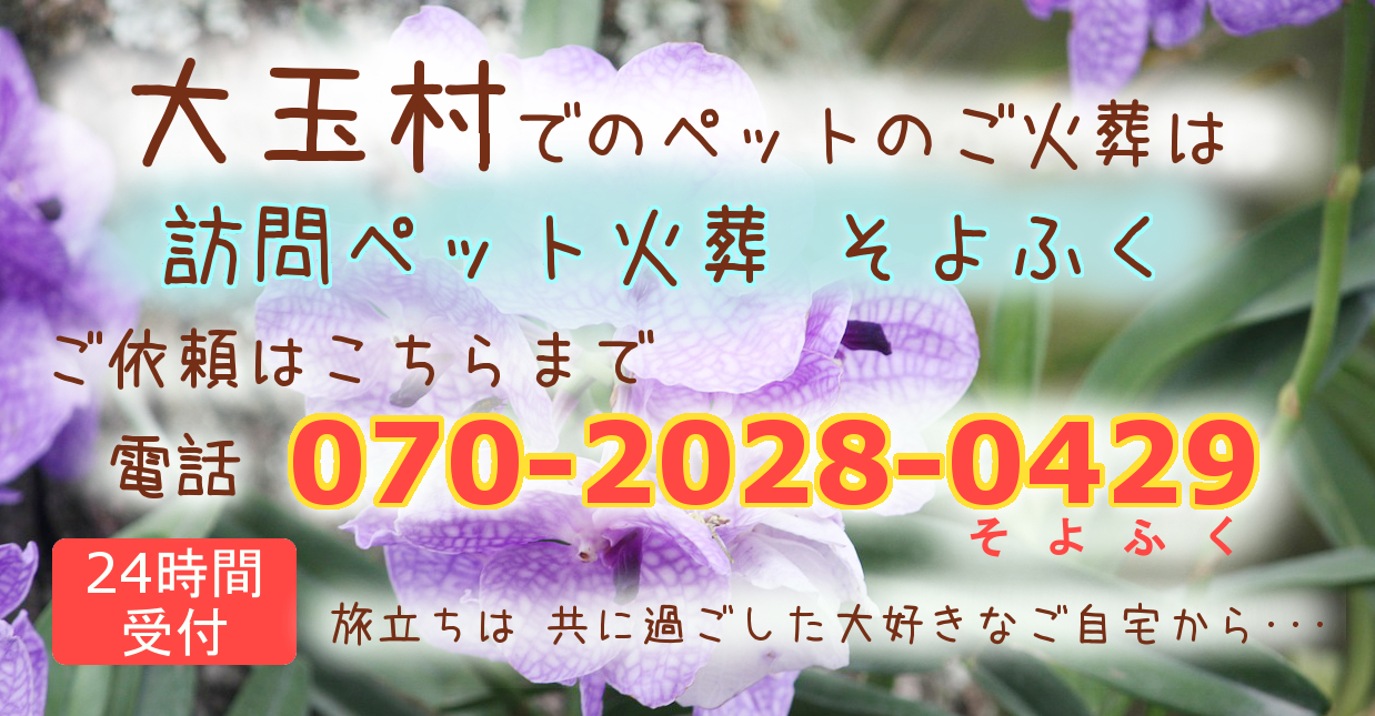 大玉村の訪問ペット火葬 ペット葬儀 福島県の訪問ペット火葬 そよふく