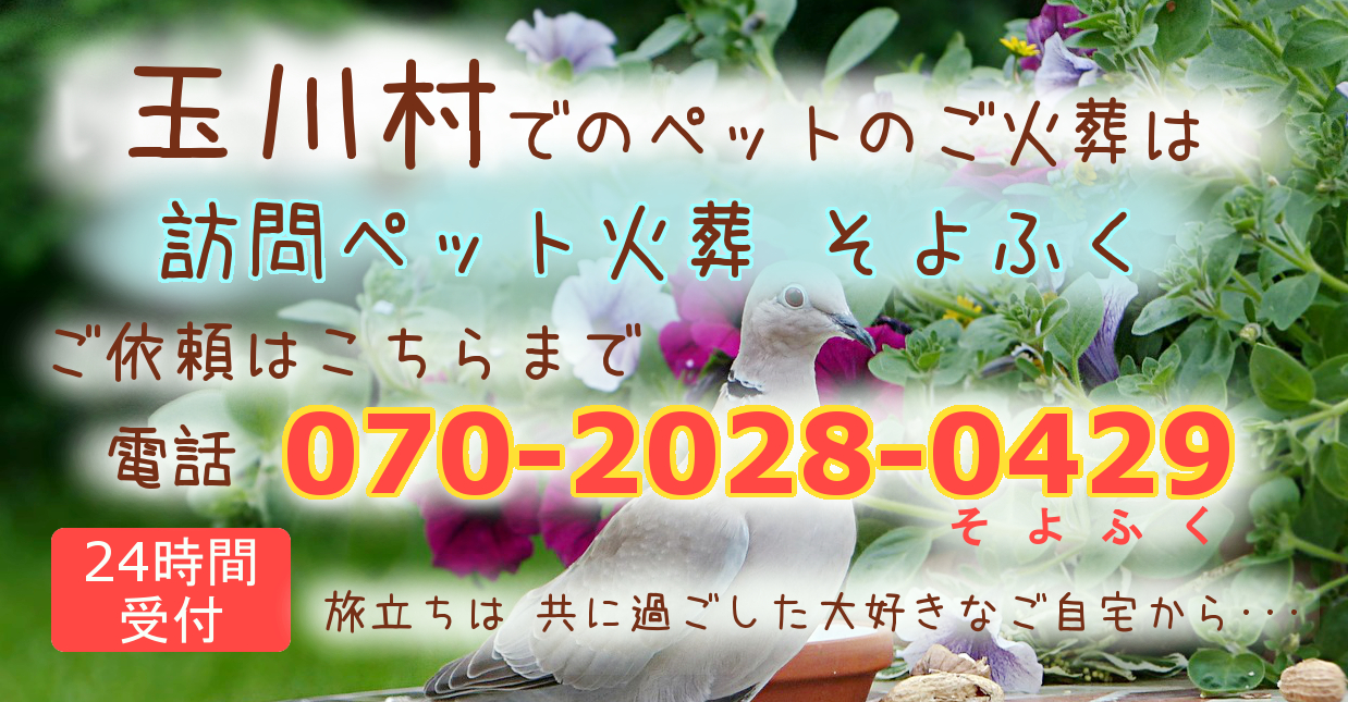 玉川村の訪問ペット火葬 ペット葬儀 福島県の訪問ペット火葬 そよふく