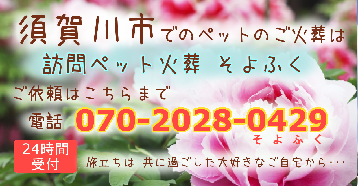 須賀川市の訪問ペット火葬 ペット葬儀 福島県の訪問ペット火葬 そよふく